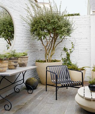courtyard garden with whitewashed brick walls, tree in oversized planter and metal furniture