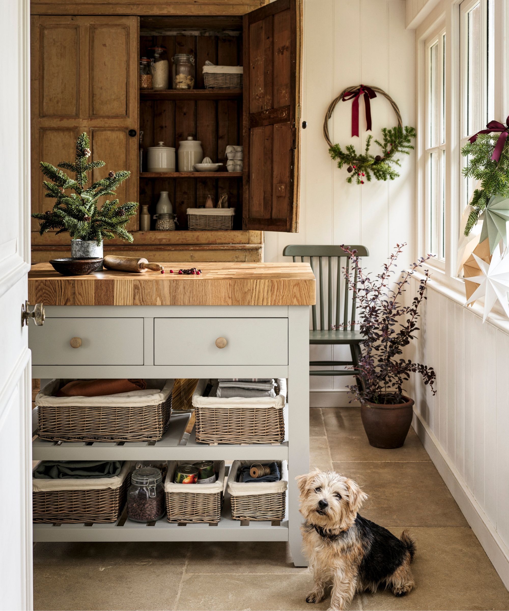 Neutral portable kitchen island with wooden top and wicker baskets, placed in a narrow kitchen with rustic cupboards, plants and a small dog nearby.