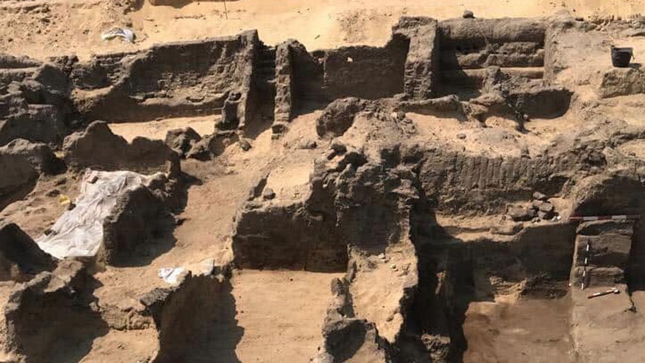 The mummies with gold tongues date back around 2,000 years and were unearthed in a necropolis near Quesna, Egypt.