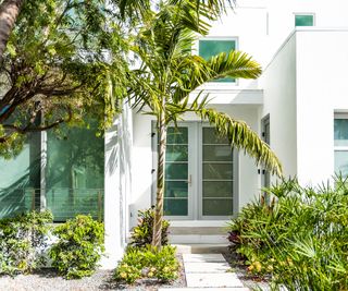 Front yard to a modern Florida home with palm trees and shrubs