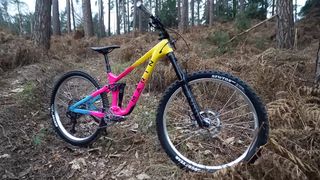 Alpine Trail Carbon Fun² enduro bike in woods