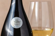Platinum DWWA 2022