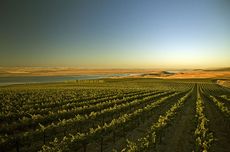 Washtingon State wineries