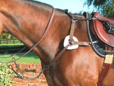 5.Mark-Todd-5-point-Breastplate-e1434969999970.jpg