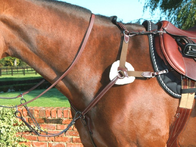 5.Mark-Todd-5-point-Breastplate-e1434969999970.jpg