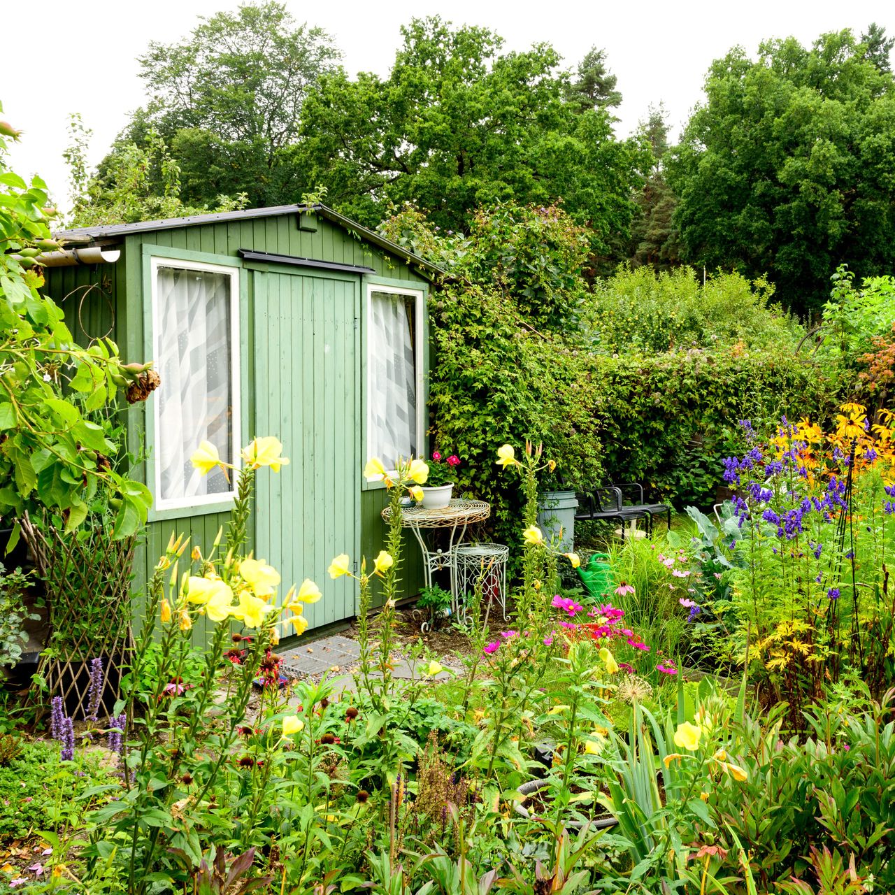 green shed in garden with plants and flowers