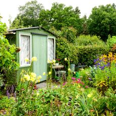 green shed in garden with plants and flowers