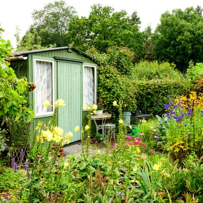 green shed in garden with plants and flowers