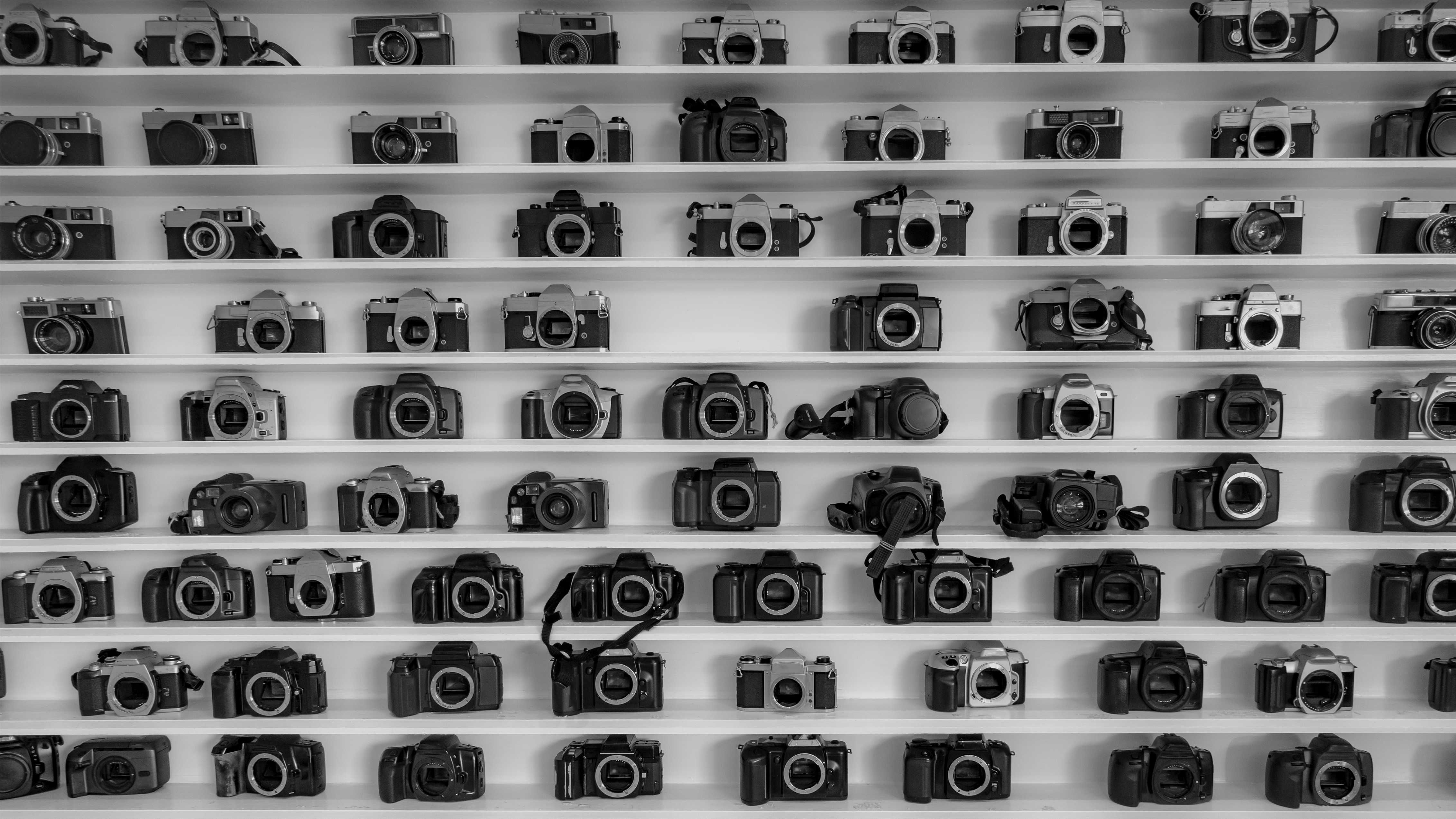 Many camera on shelf