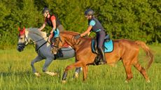 Two riders &ndash;&nbsp;one wearing a body protector and the other wearing a back protector &ndash; cantering in a field