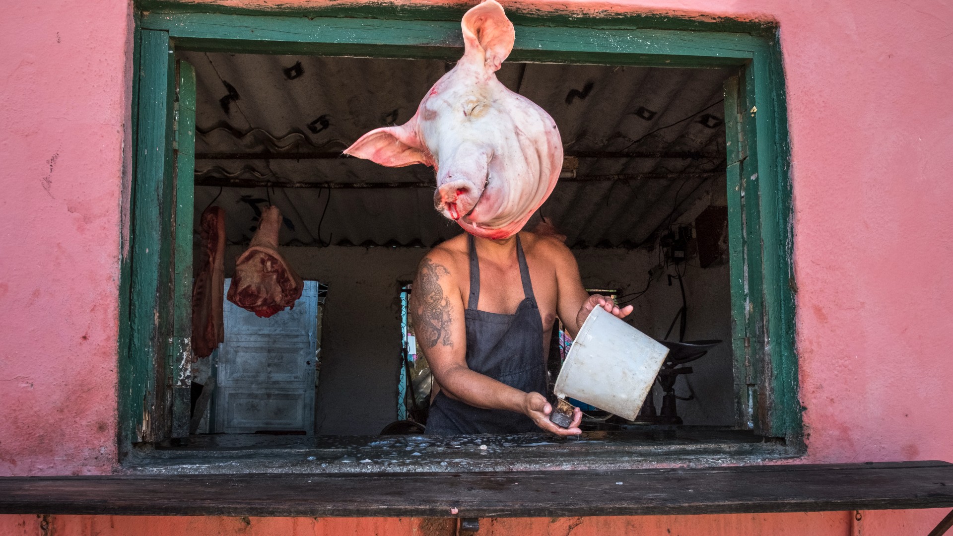 A butcher with a large tattoo on his arm works behind a window, perfectly positioned so a hanging pig's head appears to be his own.