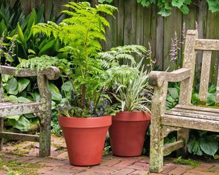 Ridge planters next to benches in garden