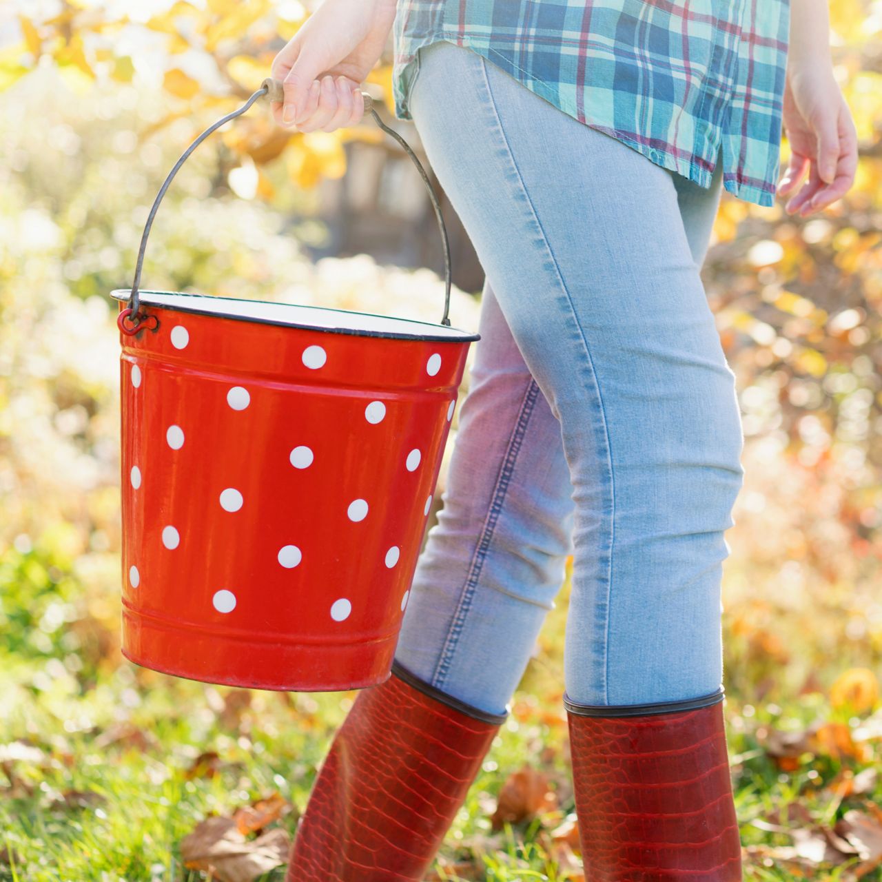 8 Ingenious Ways To Use Buckets In The Garden That You’ve Probably Never Thought Of, But Should Definitely Try