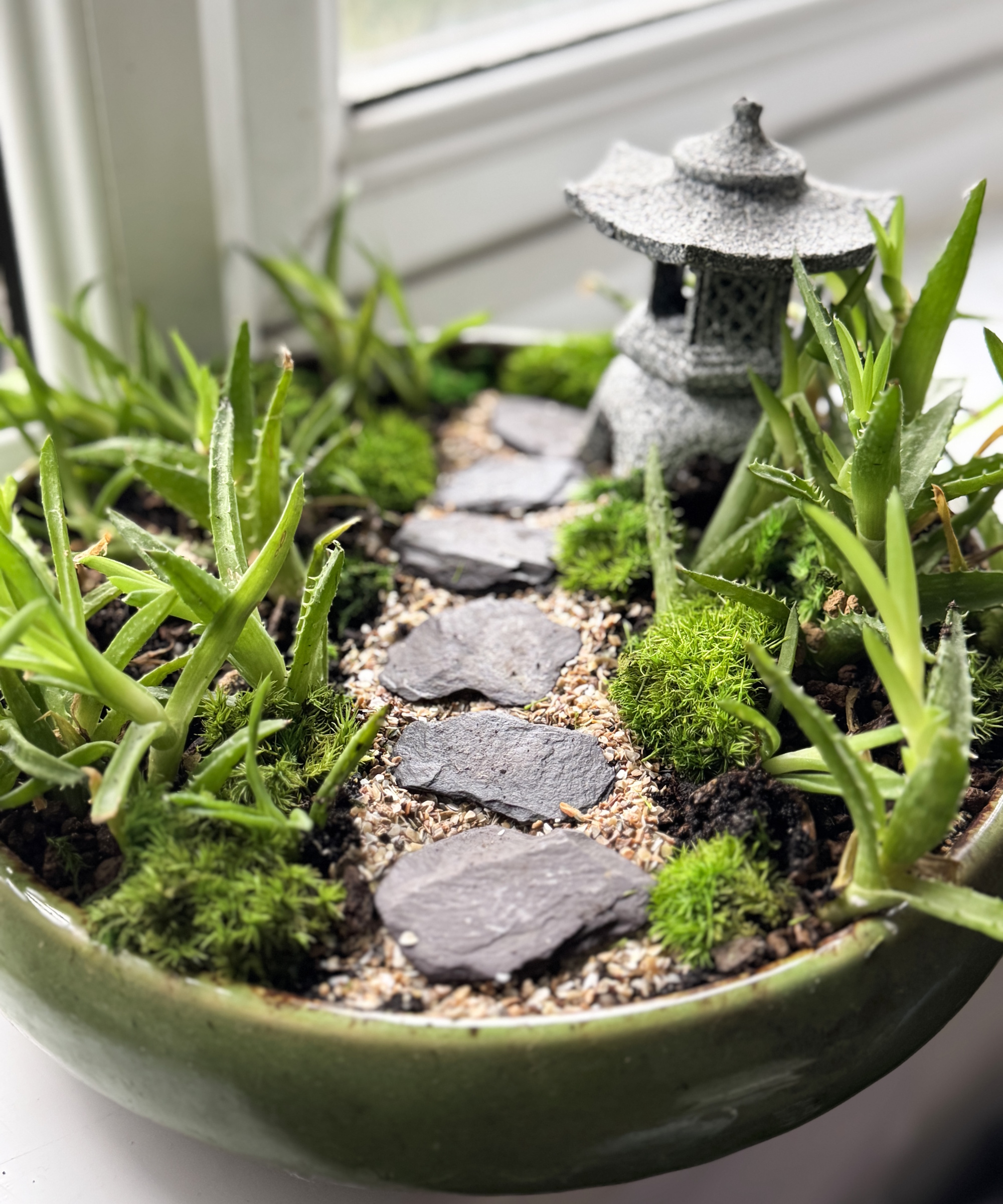 Mini Japanese garden in a planter
