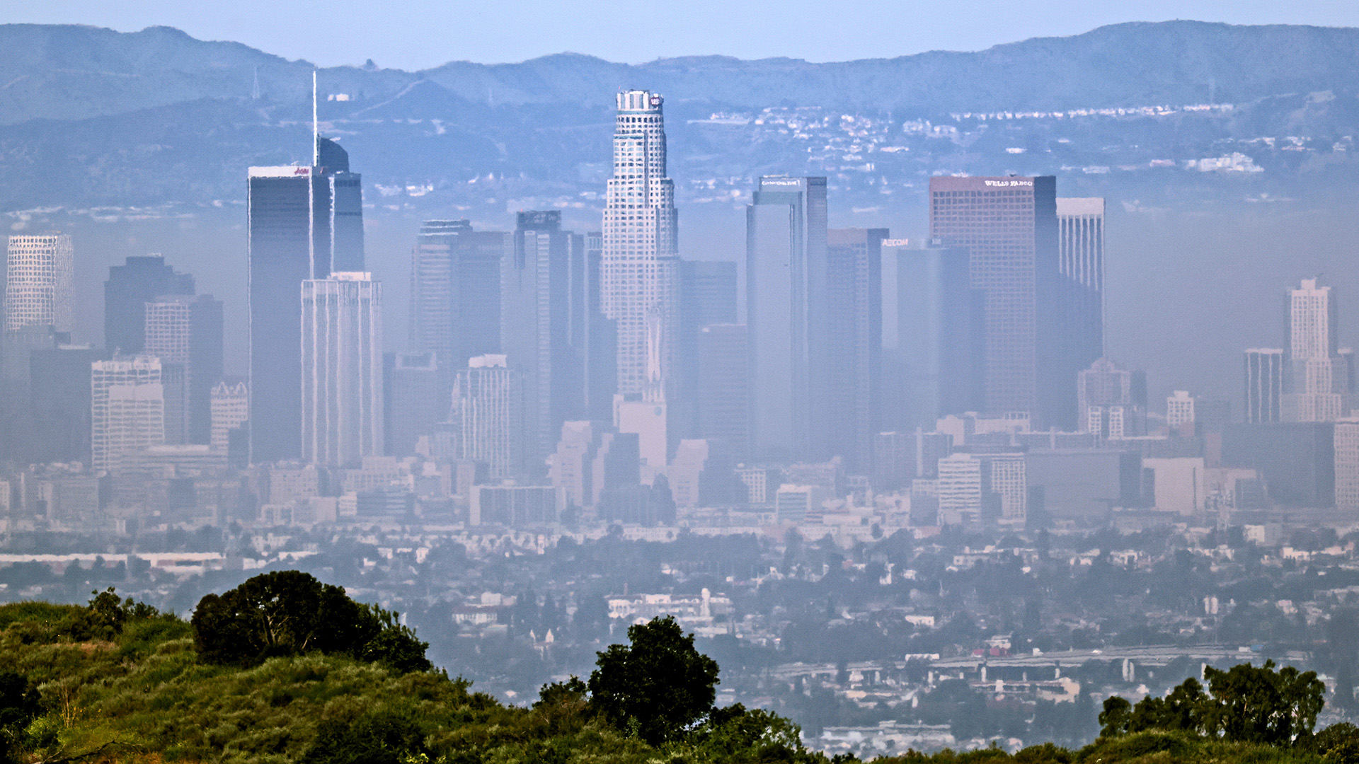 A cityscape with tall buildings is covered in a white haze