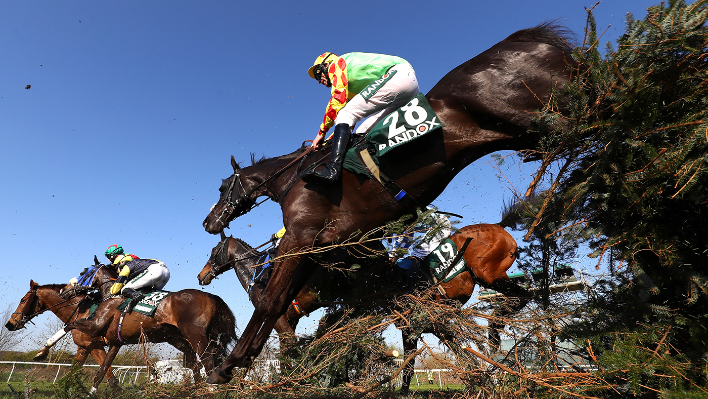 Grand National on TV