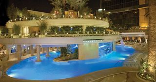 The Tank pool at the Golden Nugget