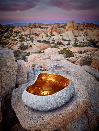 Haas Mojave Desert bowl
