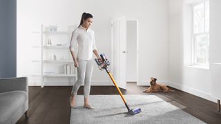 Dyson v7 Absolute review