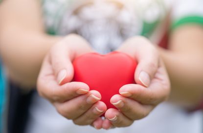 organ donor woman holding plastic heart shape