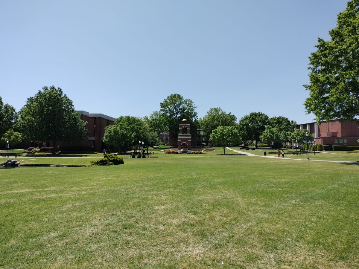 OnePlus Nord N20 5G camera samples