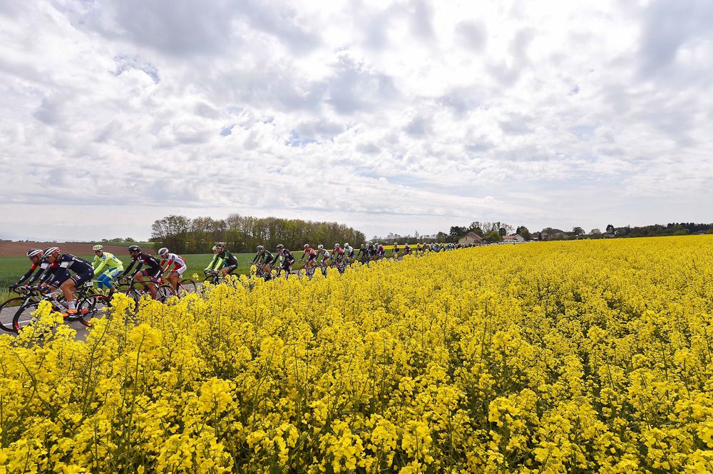 Flowers frame the peloton.