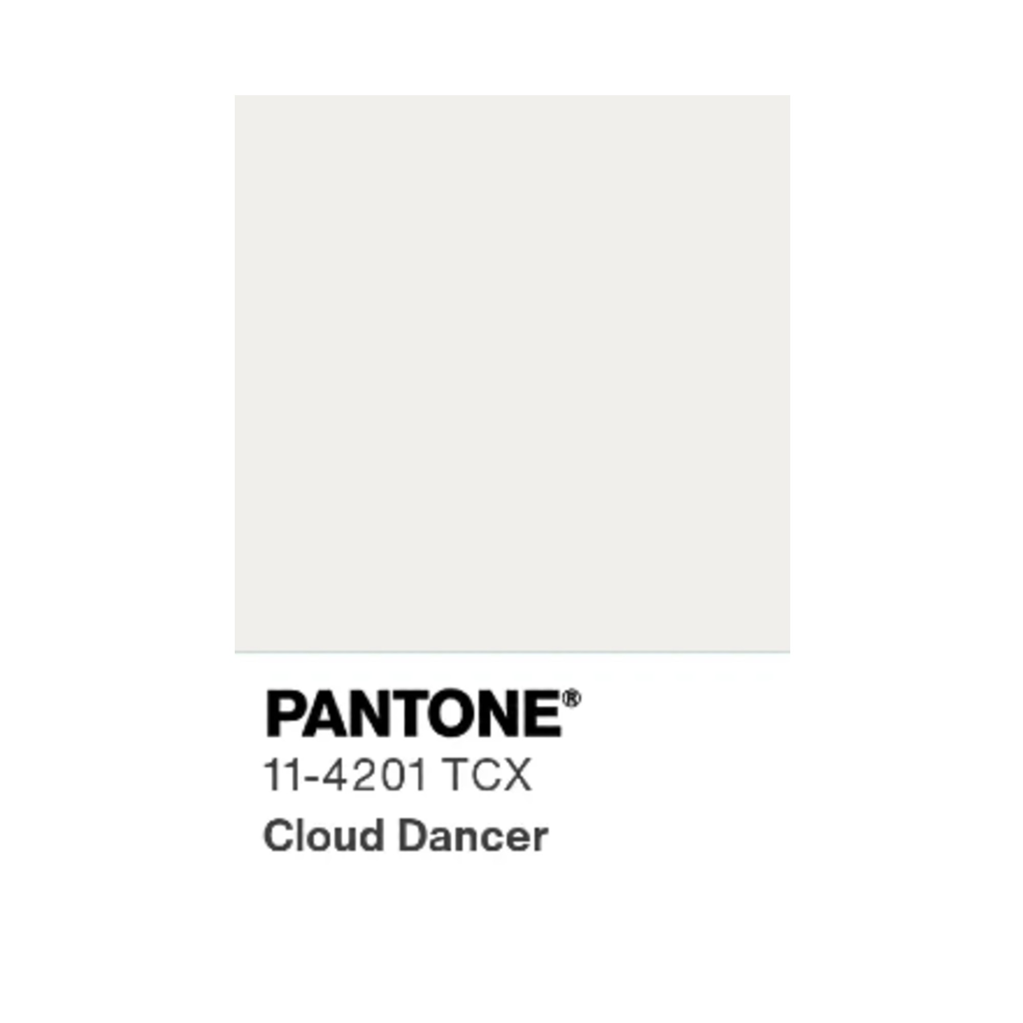 Pantone Cloud Dancer swatch