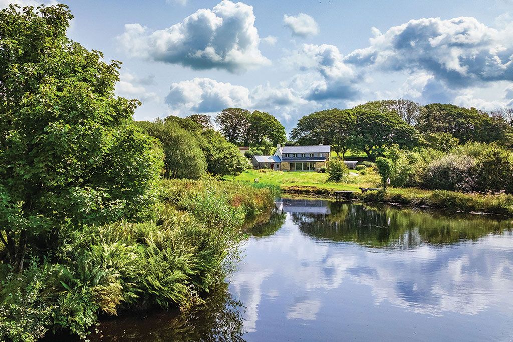 Property for sale with wildlife pond: