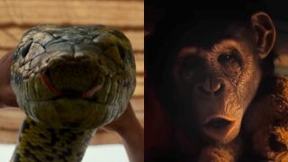 A side-by-side image of the snake from Anaconda and monkey from Primate