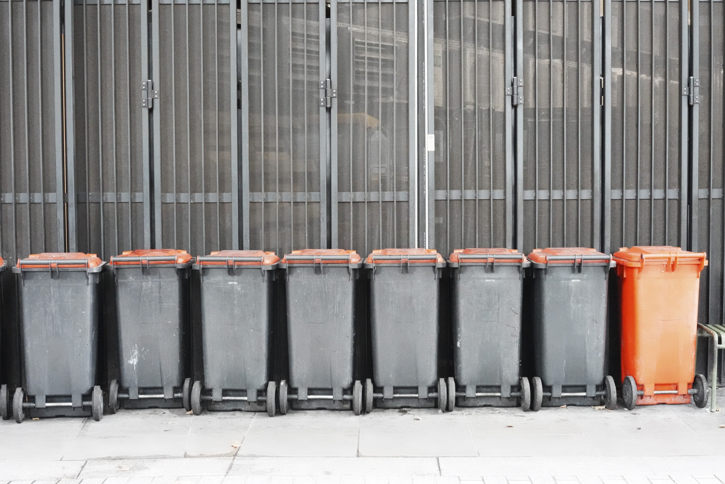 Sony RX1R III sample gallery: a line of wheelie bins