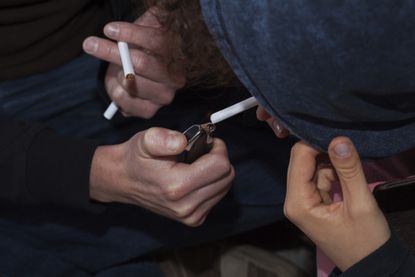 Stoners fare better in school than smokers, say Canadian scientists