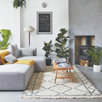 A modern living room with a grey sofa and plants