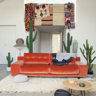 room with cactus display and sofa
