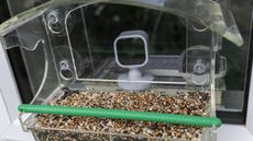 A Blink Mini camera behind a clear plastic bird feeder