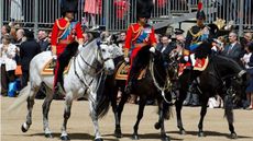 Elizabeth-Horse-Trust-.jpeg