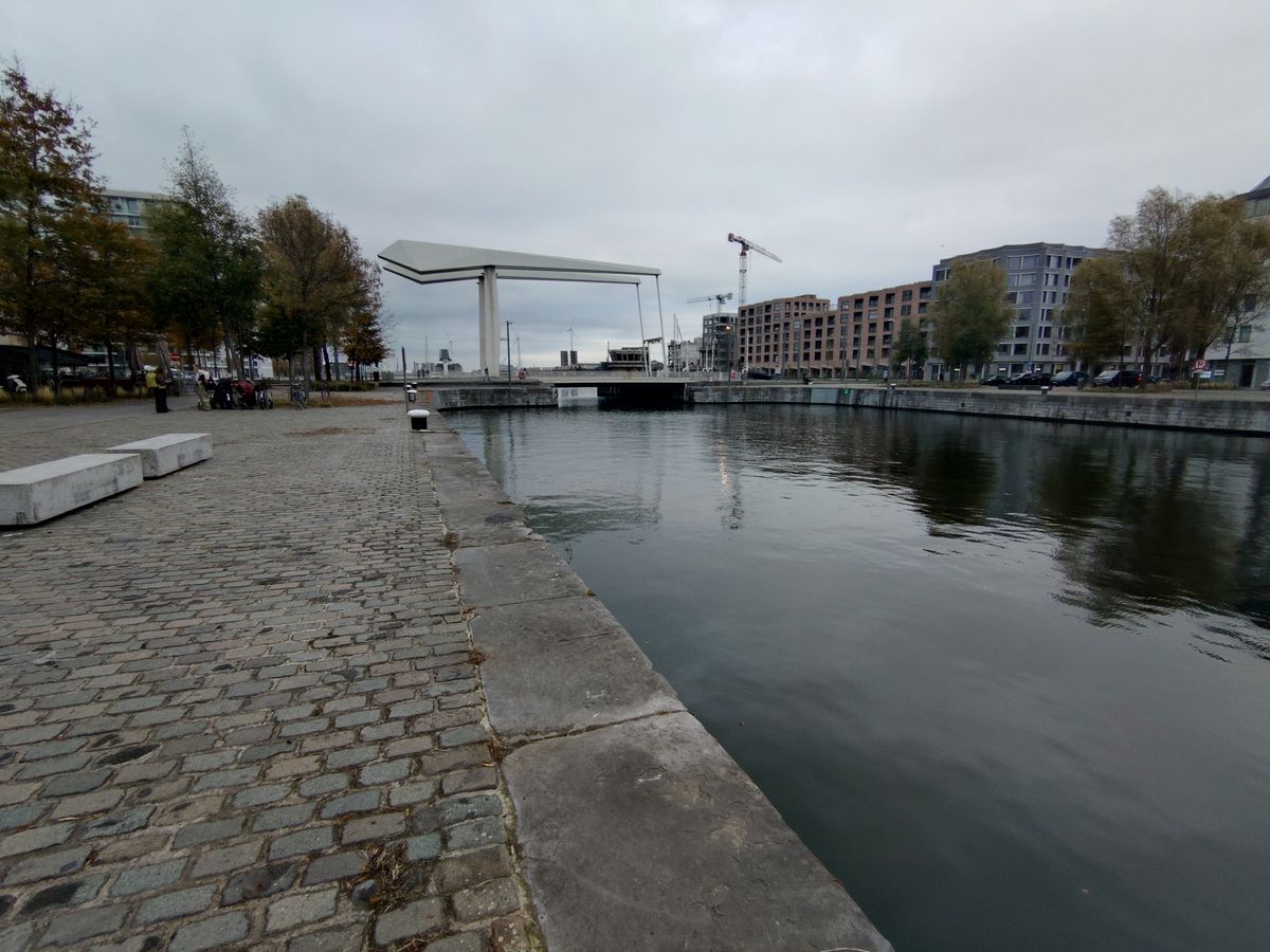 Voorbeeldfoto Sony Xperia 10 VII