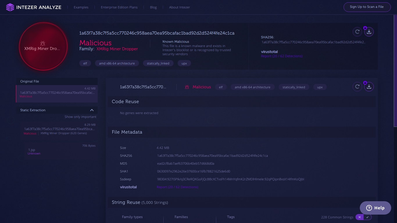 screenshot of Intezer's Analysis