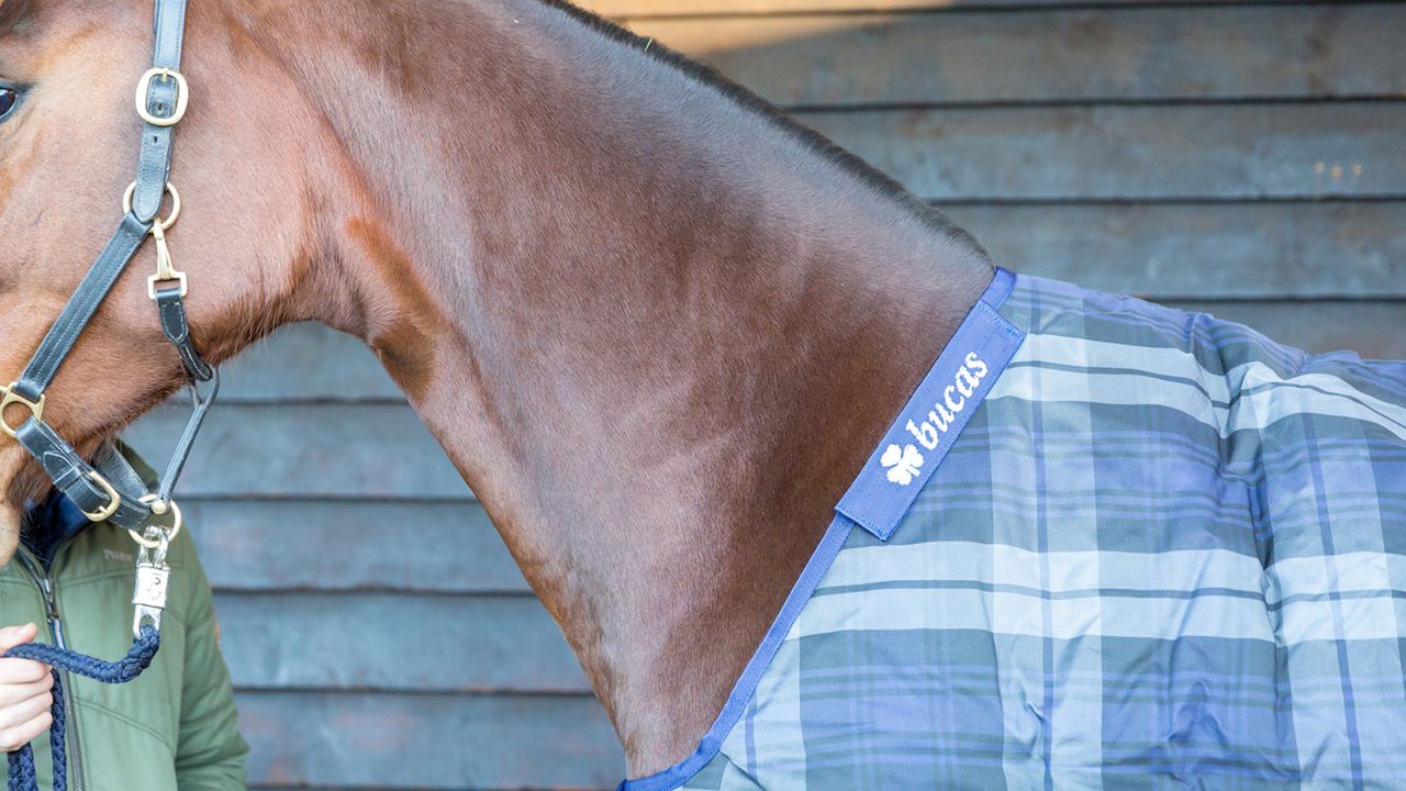 Bucas Celtic Stable Rug review