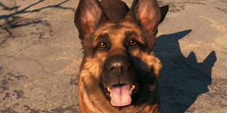 Dogmeat from fallout 4, a german shephard dog.