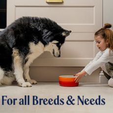 Girl feeding dog