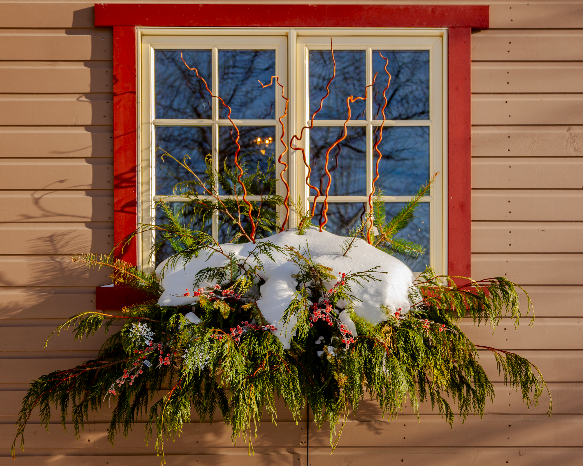 winter window box thriller
