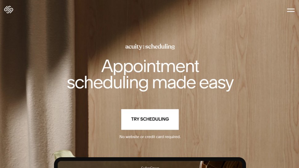 Squarespace Acuity website screenshot (February 2026).
