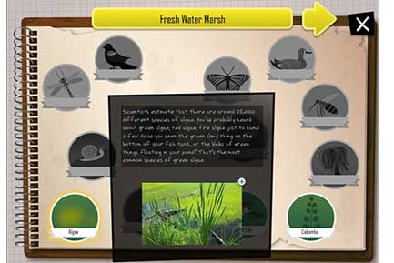 Kids Build Virtual Biomes With This Ecology App