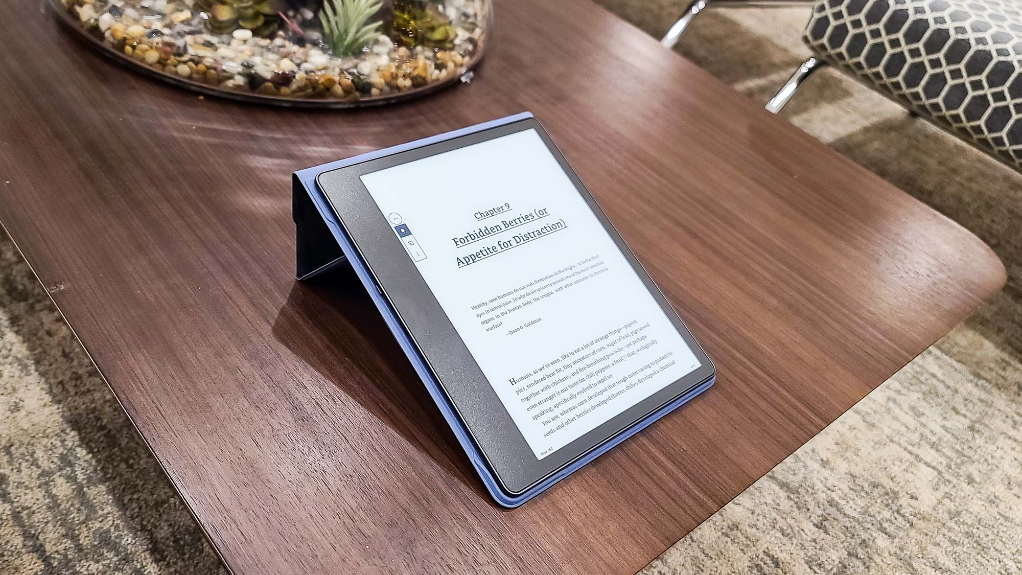 Amazon Kindle Scribe display