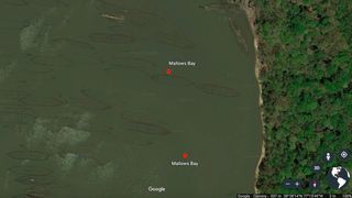 Military shipwrecks dating as far back as the Revolutionary War and including ships from the Civil War and both World War I and World War II were deliberately sunk here at Mallows Bay in Maryland.