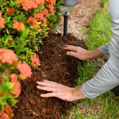 Applying mulch to garden bed