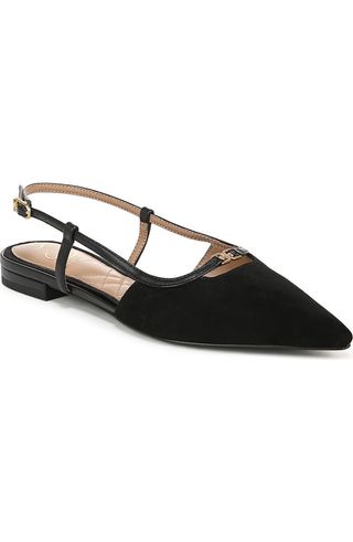 Cohen Pointed Toe Flat