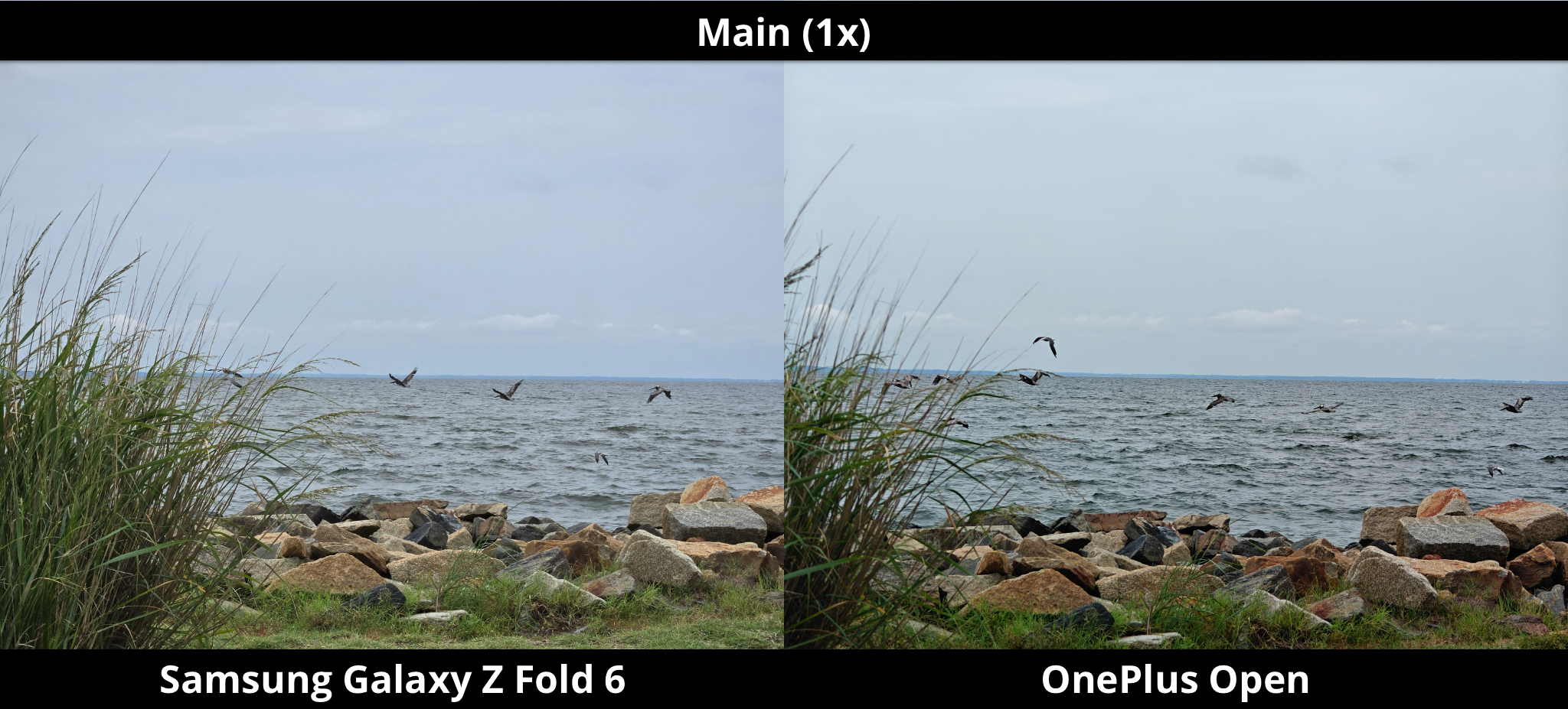 Galaxy Z Fold 6 vs. OnePlus Open - Flying Birds - 1x