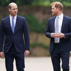 Prince William and Prince Harry