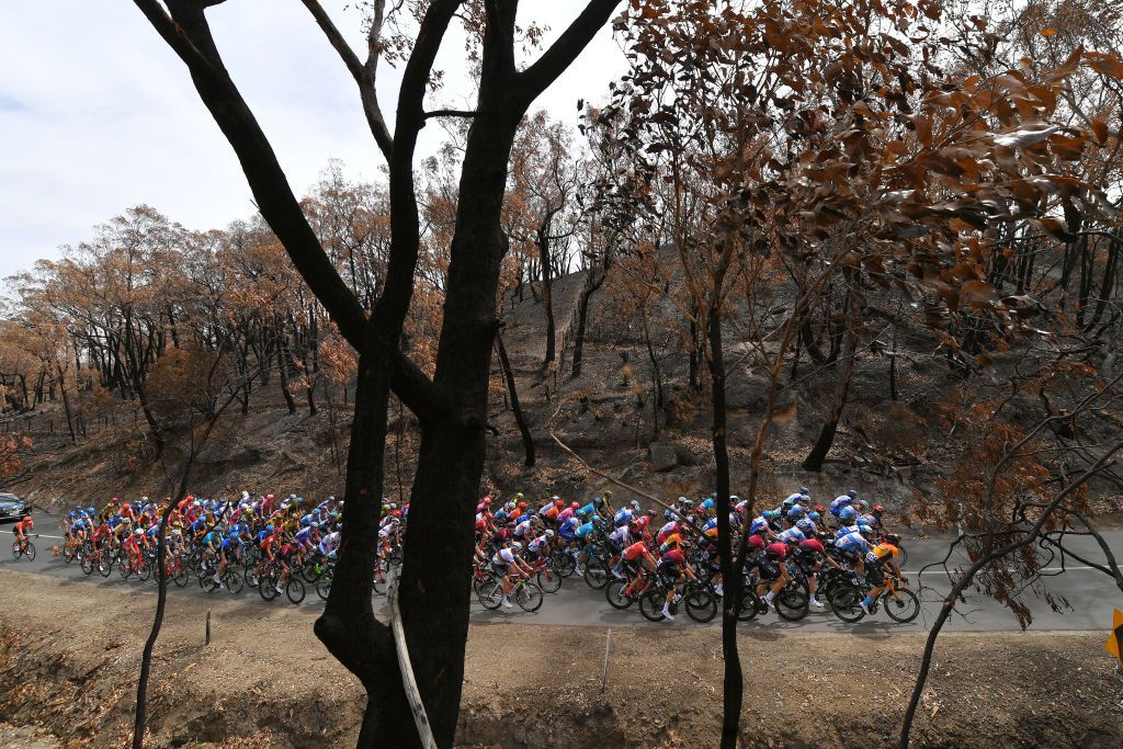 The 2020 Tour Down Under peloton